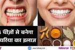 Best Pyorrhea Toothpaste-talkaaj.com